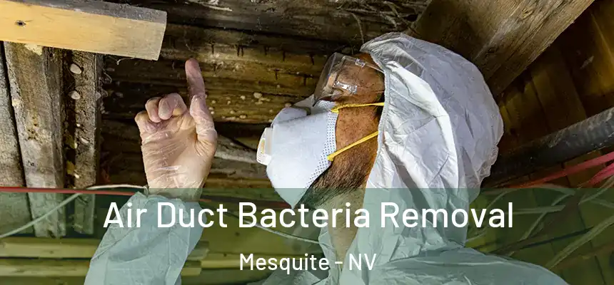  Air Duct Bacteria Removal Mesquite - NV