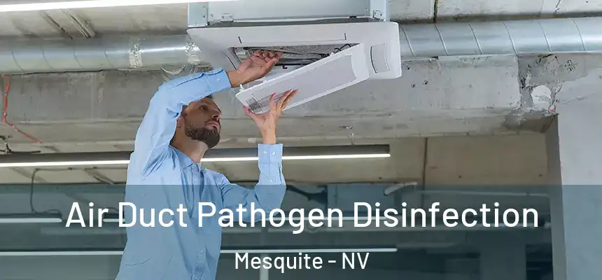  Air Duct Pathogen Disinfection Mesquite - NV