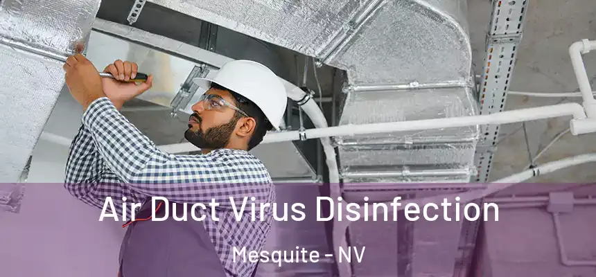  Air Duct Virus Disinfection Mesquite - NV