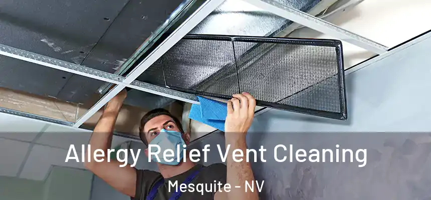  Allergy Relief Vent Cleaning Mesquite - NV