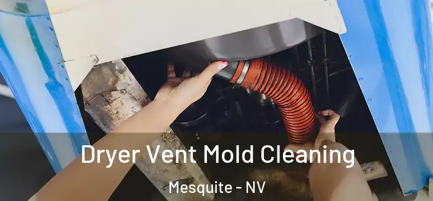  Dryer Vent Mold Cleaning Mesquite - NV