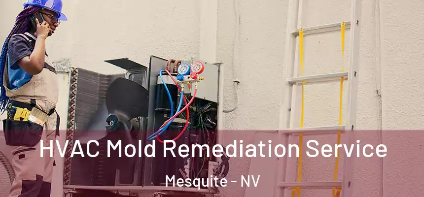  HVAC Mold Remediation Service Mesquite - NV