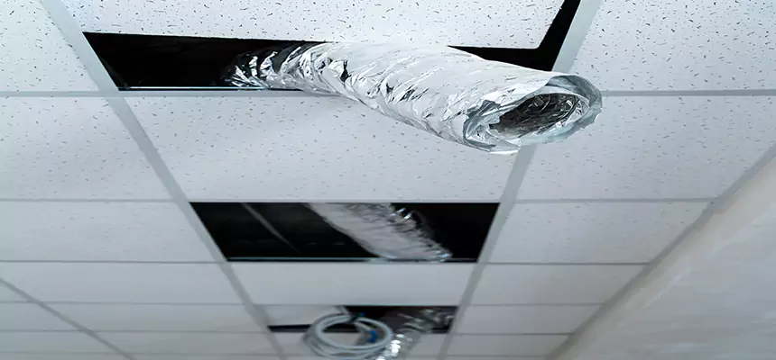 Our Air Duct Pet Hair Removal Services in Mesquite, NV