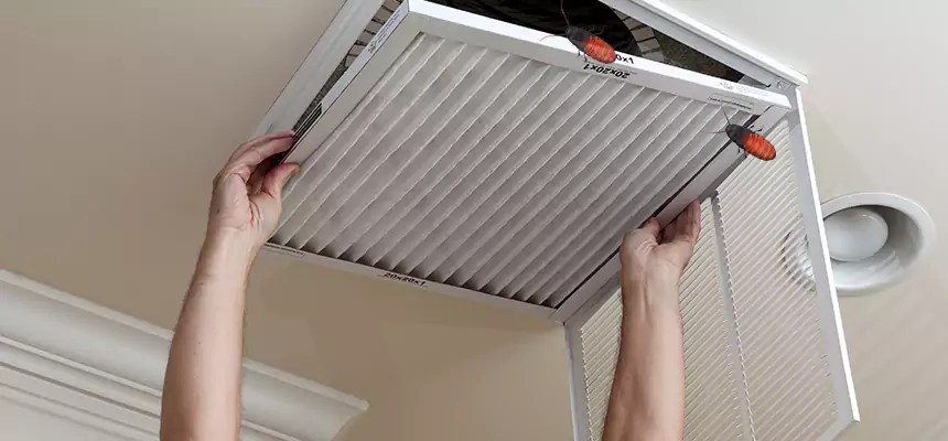 Our Insect Removal from Air Ducts Services in Mesquite, NV