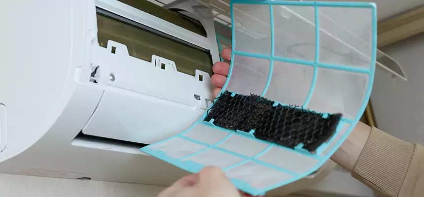 Gentle Ductwork Odor-Control Pet Dander Duct Cleaning in Mesquite, NV