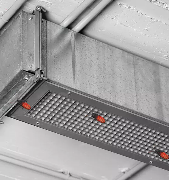 About Air Duct Cockroach Removal in Mesquite, NV