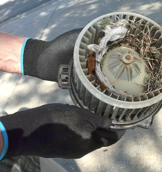 About Air Duct Rat Removal in Mesquite, NV