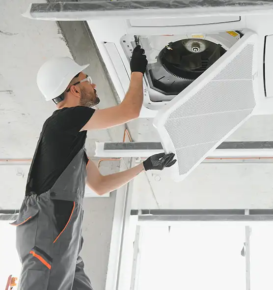 About Air Duct Rodent Removal in Mesquite, NV