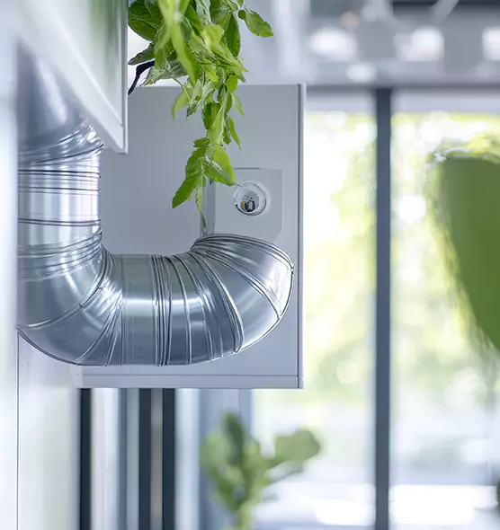 Professional Eco-Friendly Duct Cleaning Services in Mesquite, NV