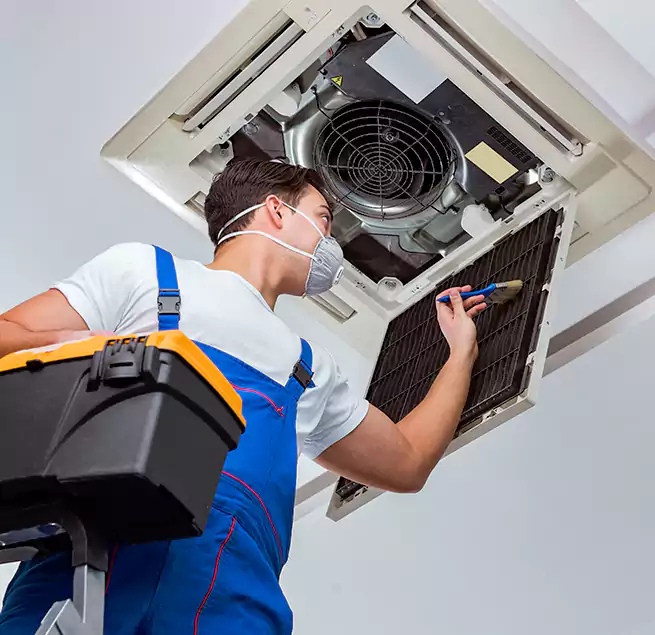 Why Homeowners & Businesses Trust Us in Mesquite, NV