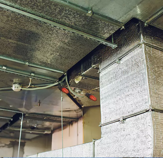 Why Homeowners & Businesses Trust Us Mesquite, NV?